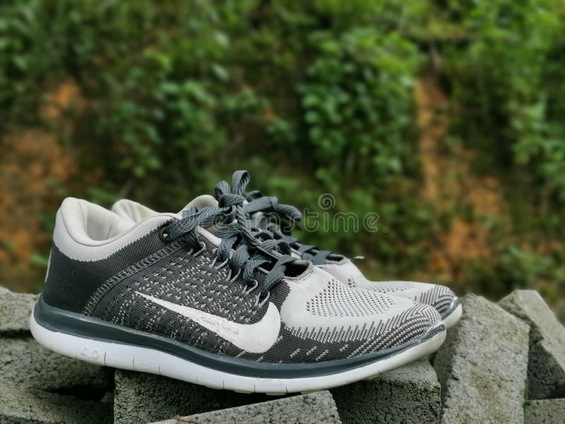 Free flyknit malaysia hot sale