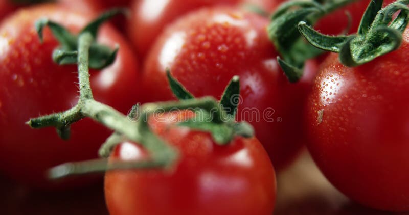 Image of vegetables icons over tomatoes. national vegetarian week and celebration concept digitally generated image.