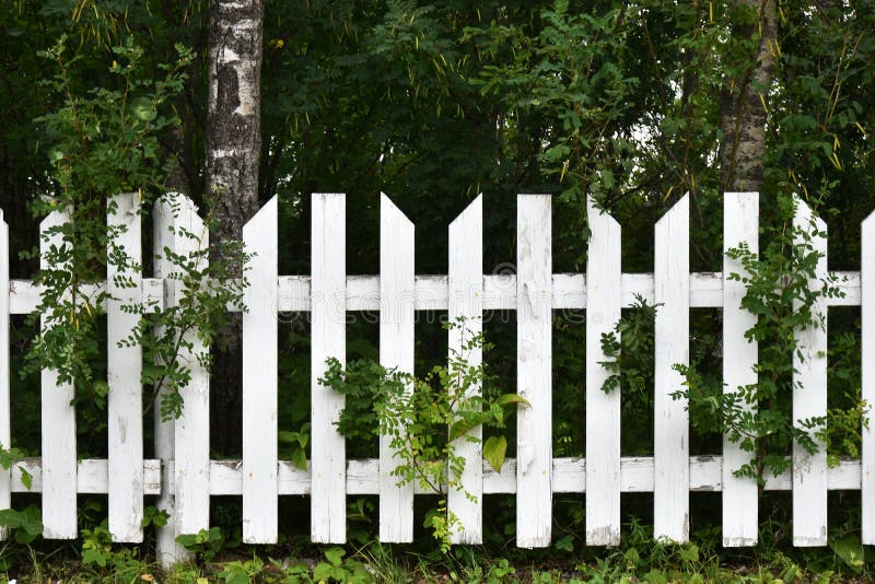 White Picket Fence Background Stock Photos Download 3,424 Royalty Free Photos