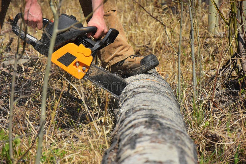 Working Chainsaw Close Up stock image. Image of outdoors 149975843