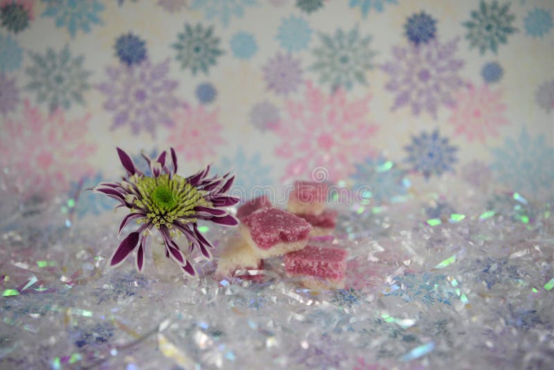 Imagem da fotografia do alimento do Natal com os doces ingleses antiquados do gelo de coco com fundo da flor e do floco de neve d fotos de stock royalty free Imagem da fotografia do alimento do Natal com os doces ingleses antiquados do gelo de coco com fundo da flor e do floco de neve d fotos de stock royalty free