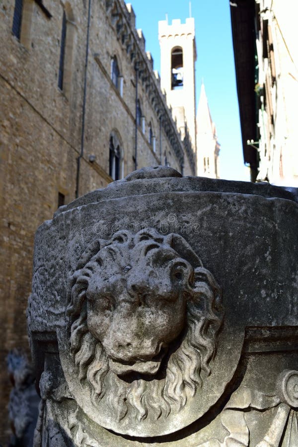 Imagem de um leão fotos de stock