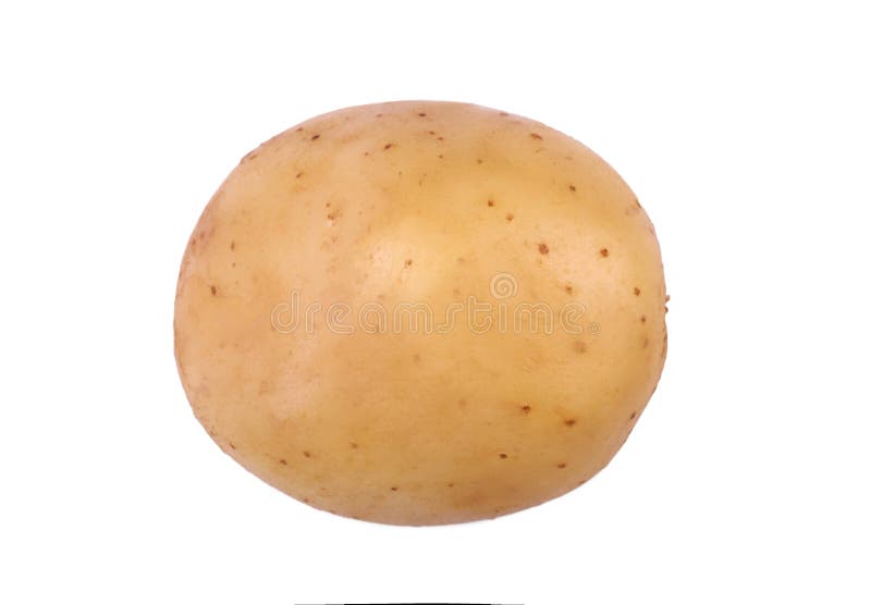 Imagem do close-up da batata nova saudável, madura e crua, isolada em um fundo branco Summer harvest of vegetables foto de stock royalty free Imagem do close-up da batata nova saudável, madura e crua, isolada em um fundo branco Summer harvest of vegetables foto de stock royalty free