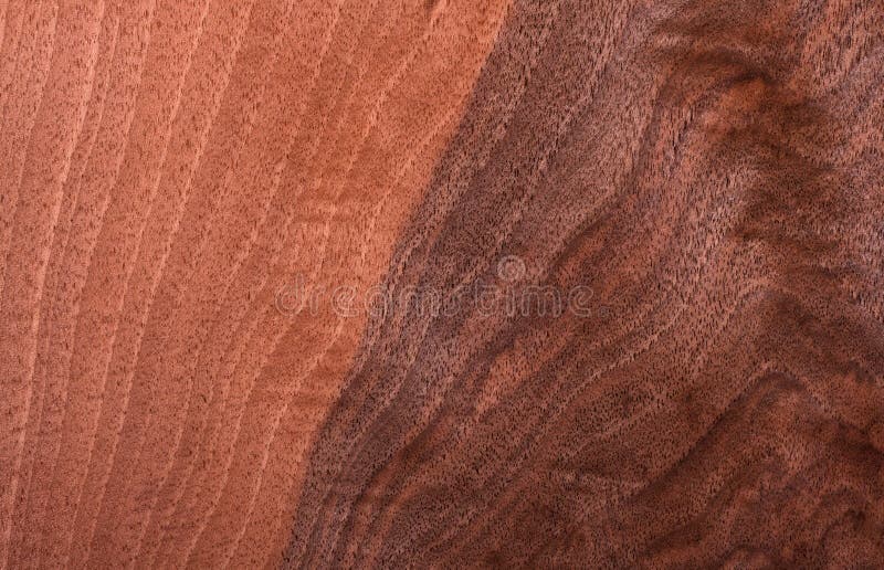 Textura de madeira fotografia de stock Textura de madeira fotografia de stock