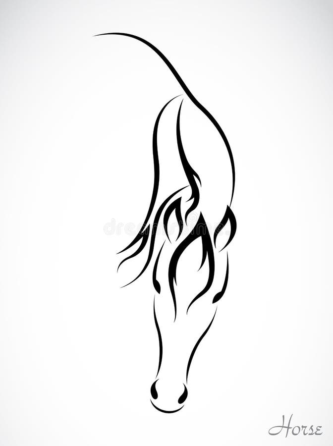 Imagem do vetor de um cavalo ilustração royalty free Imagem do vetor de um cavalo ilustração royalty free