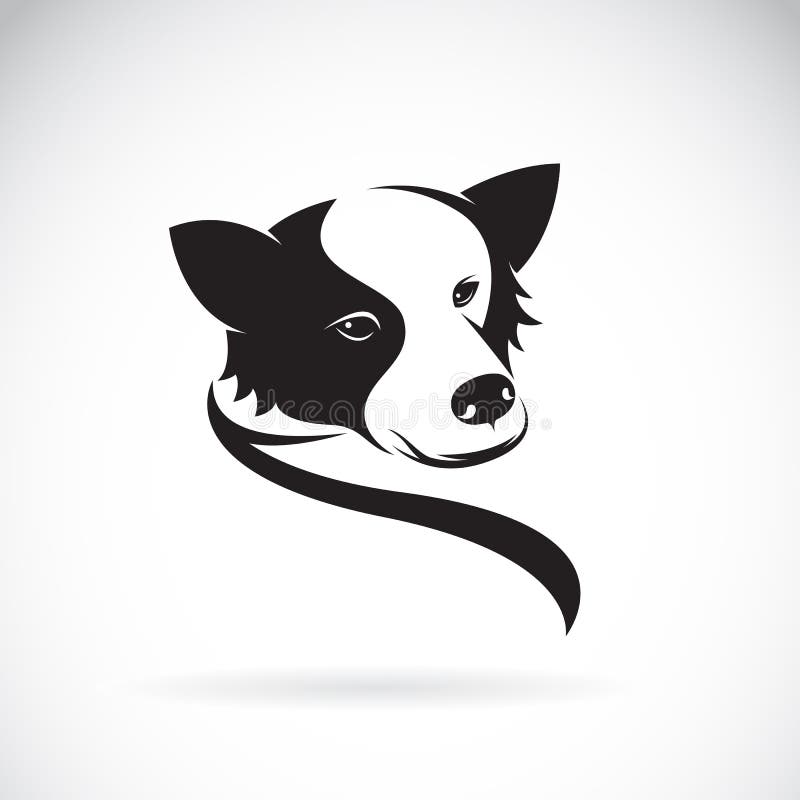Imagem vetorial de um cão Border Collie ilustração do vetor