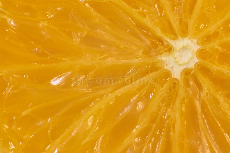 Imagem macro da laranja madura imagens de stock Imagem macro da laranja madura imagens de stock