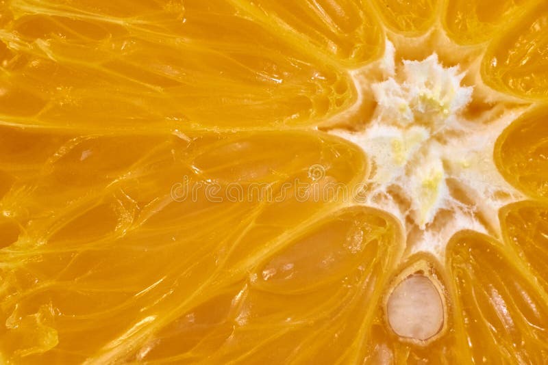 Imagem macro da laranja madura foto de stock Imagem macro da laranja madura foto de stock