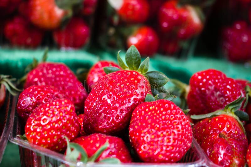 Imagem próxima das morangos fotografia de stock royalty free