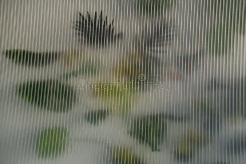 Blurred image of a plant in the background behind a textured transparent wall. The image has a dreamy, ethereal quality. Blurred image of a plant in the background behind a textured transparent wall. The image has a dreamy, ethereal quality