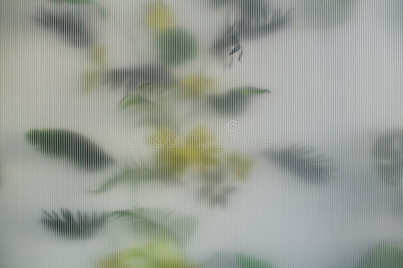 Blurred image of a plant in the background behind a textured transparent wall. The image has a dreamy, ethereal quality. Blurred image of a plant in the background behind a textured transparent wall. The image has a dreamy, ethereal quality
