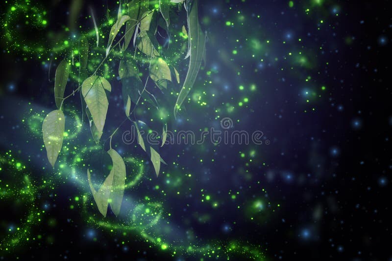 Abstract and magical image of Firefly flying in the night forest. Fairy tale concept. Abstract and magical image of Firefly flying in the night forest. Fairy tale concept