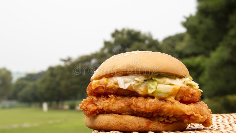 Imagen Ascendente Cerca De Hamburguesas De Pollo Enorme Con El Fondo De La Naturaleza Foto de archivo - Imagen de pollo, bollo: 204353424 Imagen Ascendente Cerca De Hamburguesas De Pollo Enorme Con El Fondo De La Naturaleza Foto de archivo - Imagen de pollo, bollo: 204353424