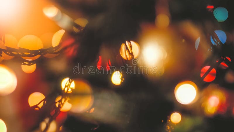 Imagen borrosa de barril de luces LED de Navidad y rama de árbol de Navidad foto de archivo Imagen borrosa de barril de luces LED de Navidad y rama de árbol de Navidad foto de archivo
