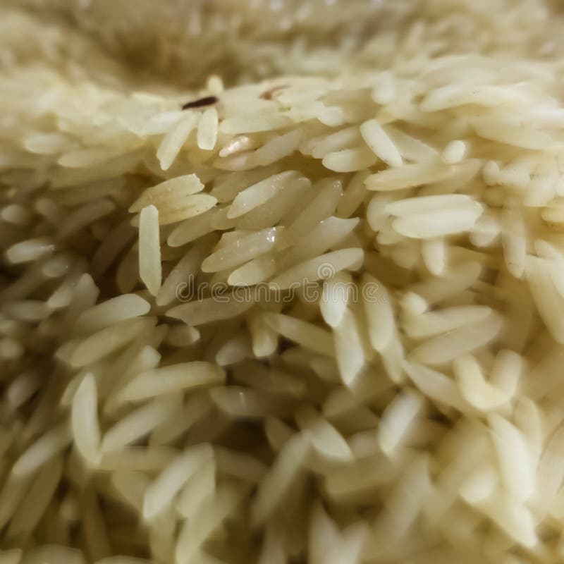 Imagen de cierre de arroz fotos de archivo libres de regalías