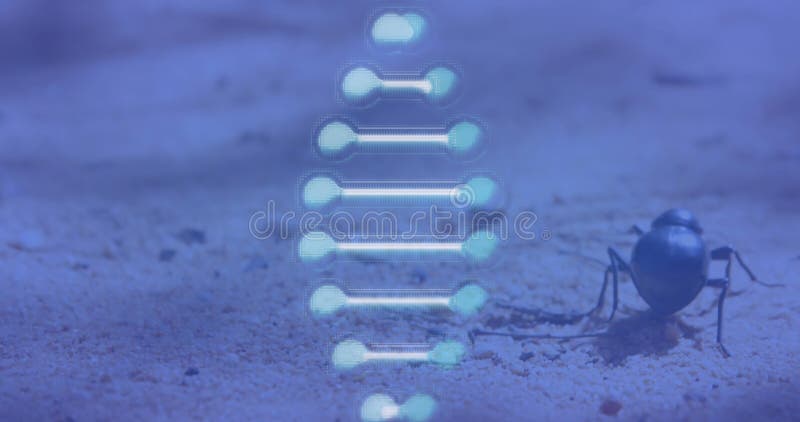 Imagen de dna strand spinning over bug imagenes de archivo