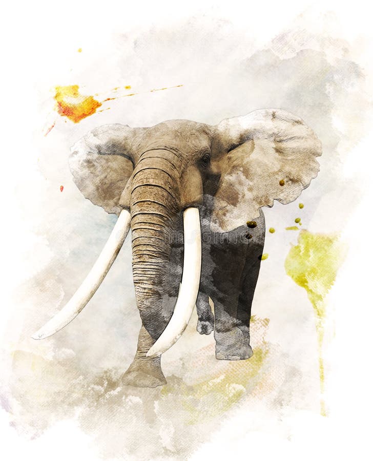 Imagen de la acuarela del elefante ilustración del vector Imagen de la acuarela del elefante ilustración del vector