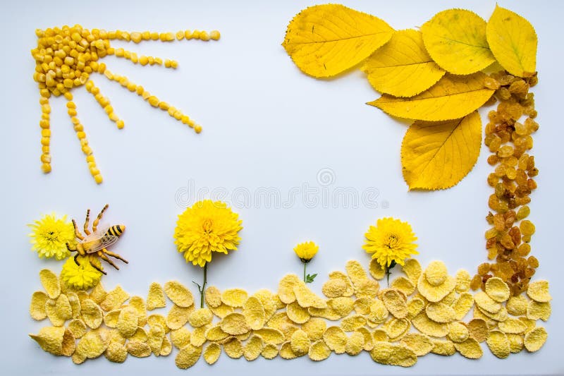 Picture of corn, raisins, corn flakes, flowers and leaves on a white background with bee. Picture of corn, raisins, corn flakes, flowers and leaves on a white background with bee