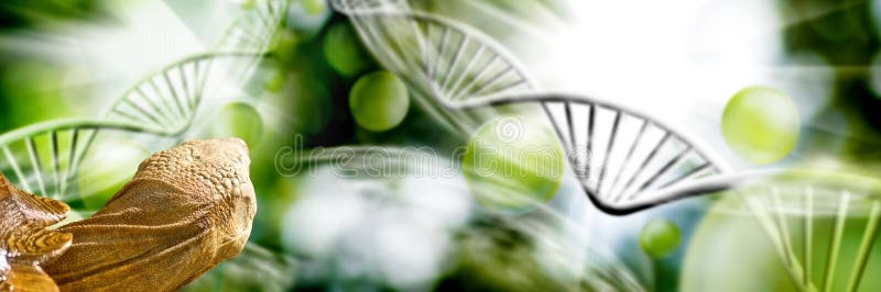 Imagen de la tortuga en fondo del filamento de la DNA fotografía de archivo
