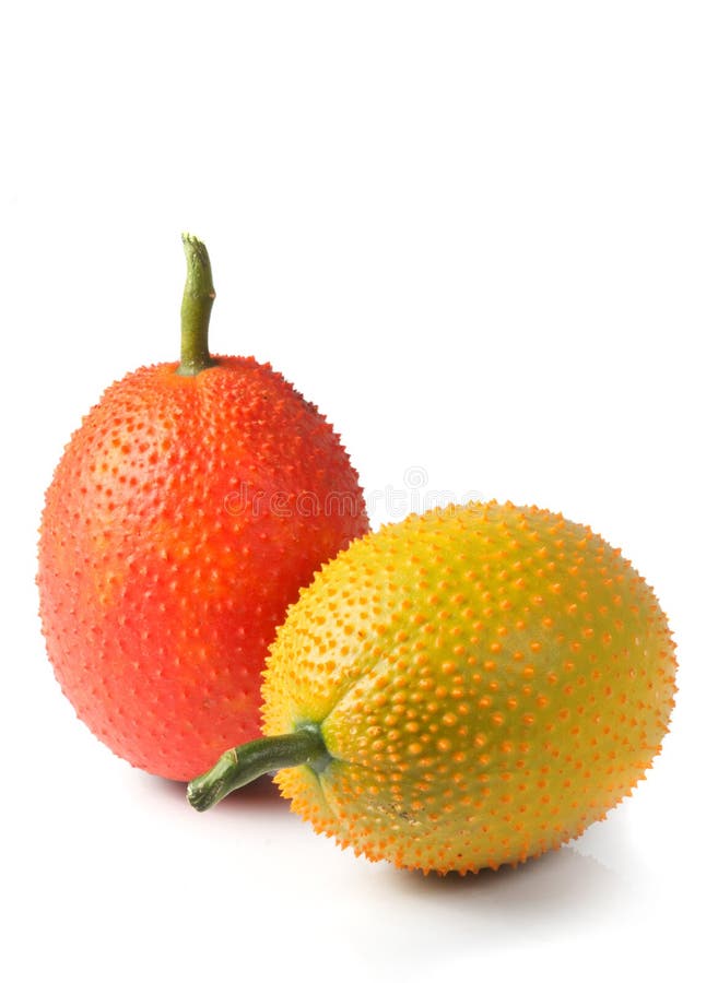 Imagen de las frutas de Gac foto de archivo libre de regalías Imagen de las frutas de Gac foto de archivo libre de regalías