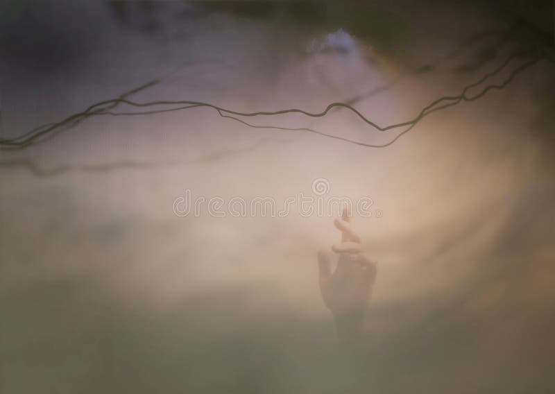 Imagen de una mano que alcanza hasta el cielo fotos de archivo libres de regalías Imagen de una mano que alcanza hasta el cielo fotos de archivo libres de regalías