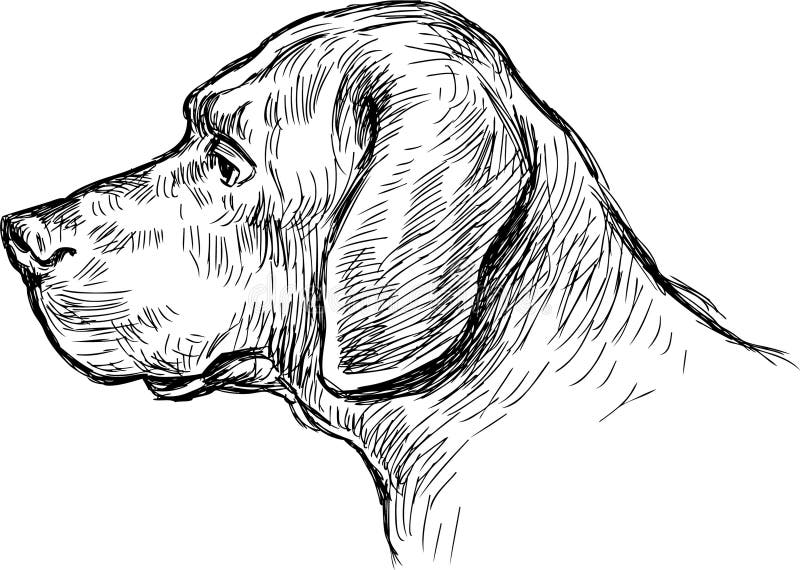 Perfil del perro ilustración del vector. Ilustración de