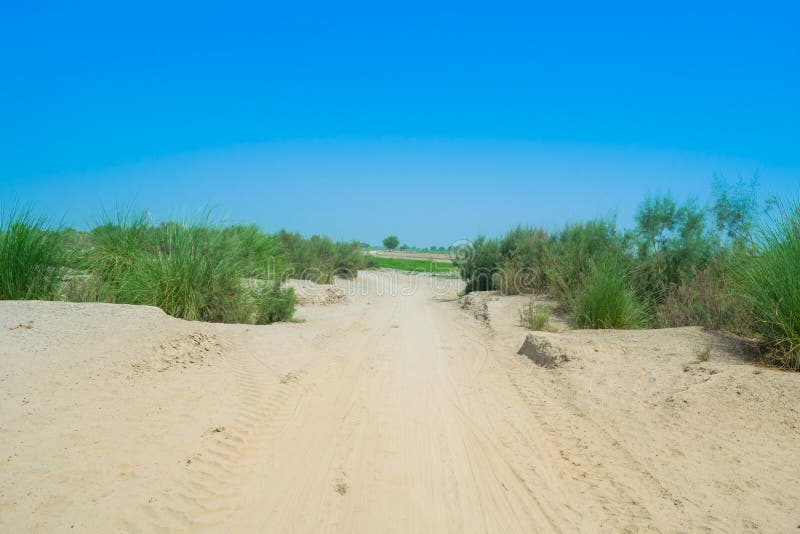 Imagen del paisaje de un área del desierto en Punjab, Paquistán imagen de archivo libre de regalías Imagen del paisaje de un área del desierto en Punjab, Paquistán imagen de archivo libre de regalías
