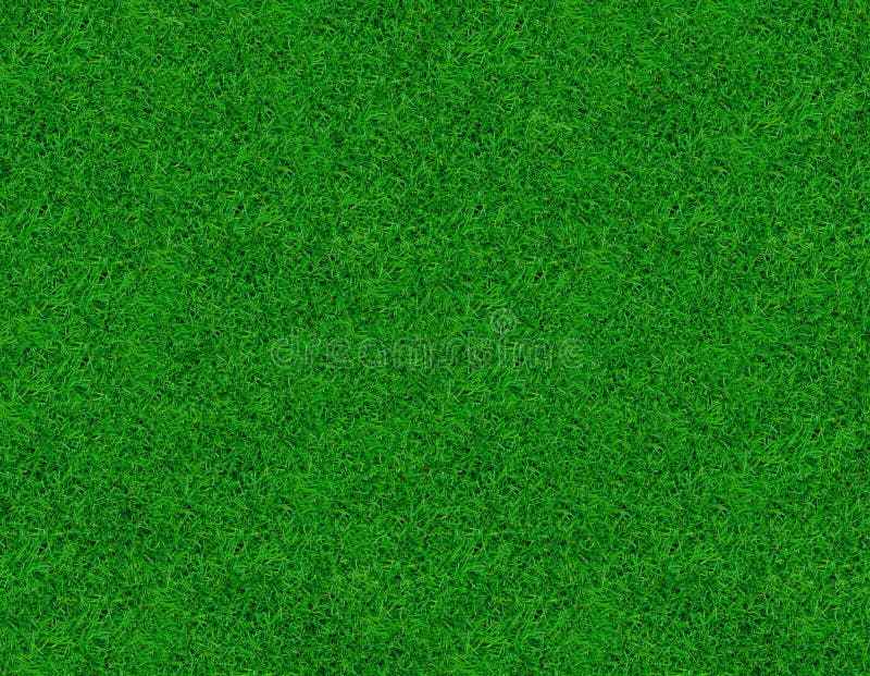 Imagen del primer de la hierba verde fresca imagen de archivo Imagen del primer de la hierba verde fresca imagen de archivo