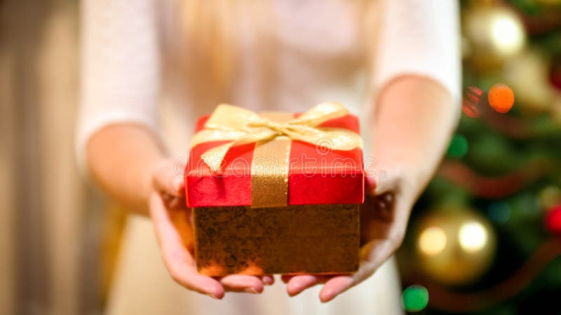 Imagen del primer de la mujer joven con la caja de regalo de la Navidad que se coloca en el árbol de navidad fotografía de archivo Imagen del primer de la mujer joven con la caja de regalo de la Navidad que se coloca en el árbol de navidad fotografía de archivo