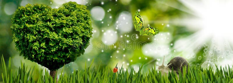 imagen del árbol en la forma del corazón como símbolo del amor y dedicación, árbol, mariposa y caracol en el primer del jardín libre illustration imagen del árbol en la forma del corazón como símbolo del amor y dedicación, árbol, mariposa y caracol en el primer del jardín libre illustration