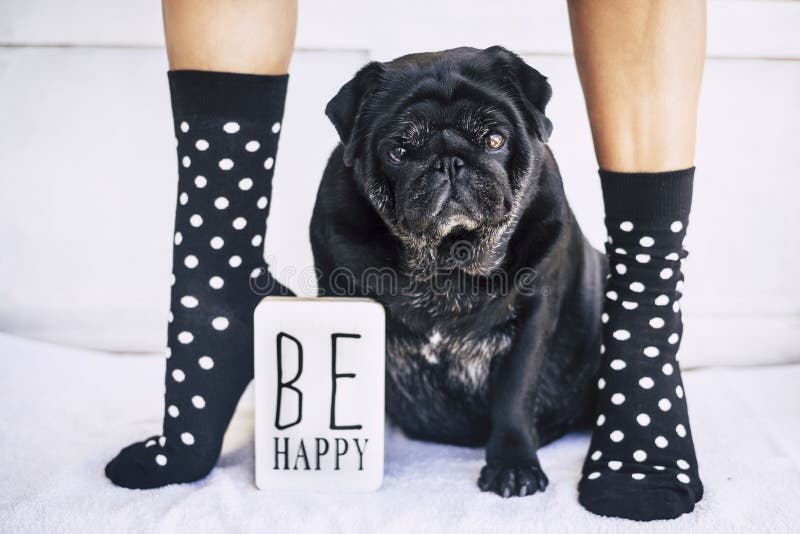 Imagen divertida para ser concepto feliz piernas caucásicas de la mujer joven con los calcetines agradables y locos y el barro am imagen de archivo Imagen divertida para ser concepto feliz piernas caucásicas de la mujer joven con los calcetines agradables y locos y el barro am imagen de archivo