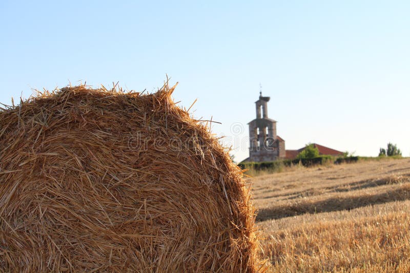 Imagen hermosa del campo que cosecha el grano imágenes de archivo libres de regalías Imagen hermosa del campo que cosecha el grano imágenes de archivo libres de regalías