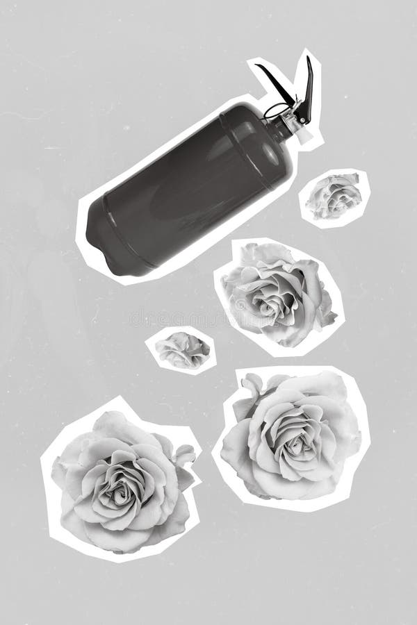 Imagen vertical del extinguidor de incendios hermosas flores de rosa frescas aisladas en fondo azul fotos de archivo libres de regalías