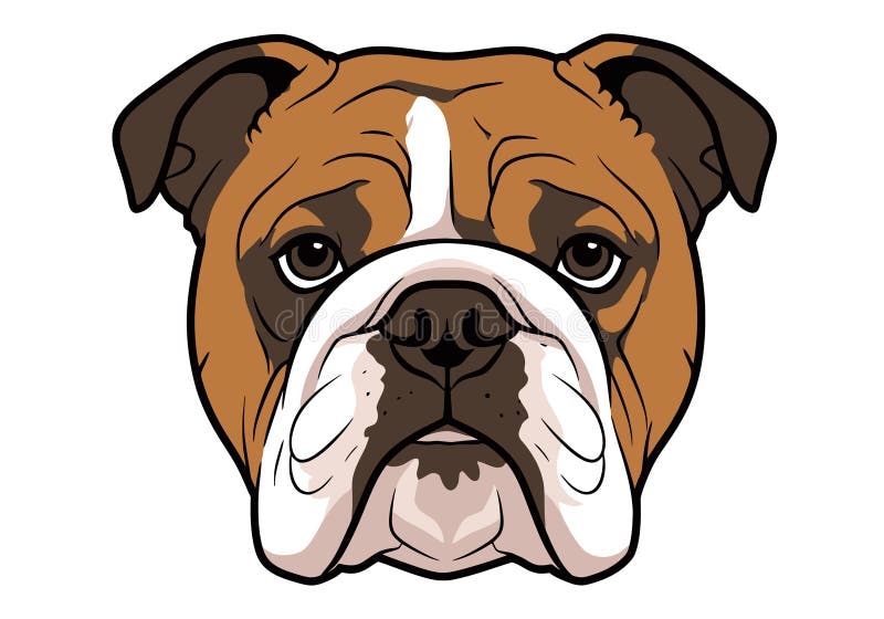 Images clipart Buldog. illustration de vecteur