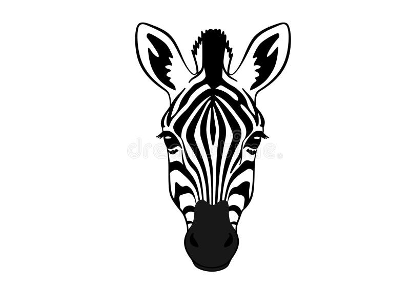 Images clipart Zebra illustration libre de droits