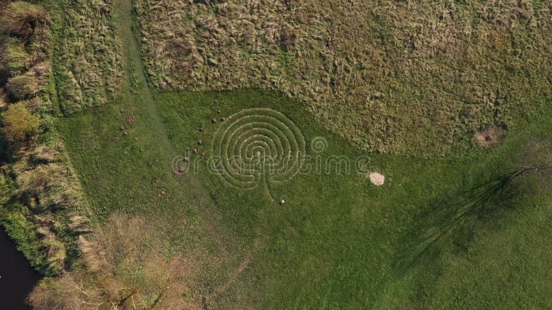 Images de vol d'un plan aérien avec un drone planant au-dessus du signe d'initiation sous la forme d'un labyrinthe d'arbres à kall banque de vidéos