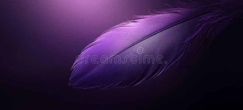 Imagine simplă de fundal întunecat cu o singură pană violet Imagine elegantă de design cu o singură pană de culoare violet Imagine stock illustration