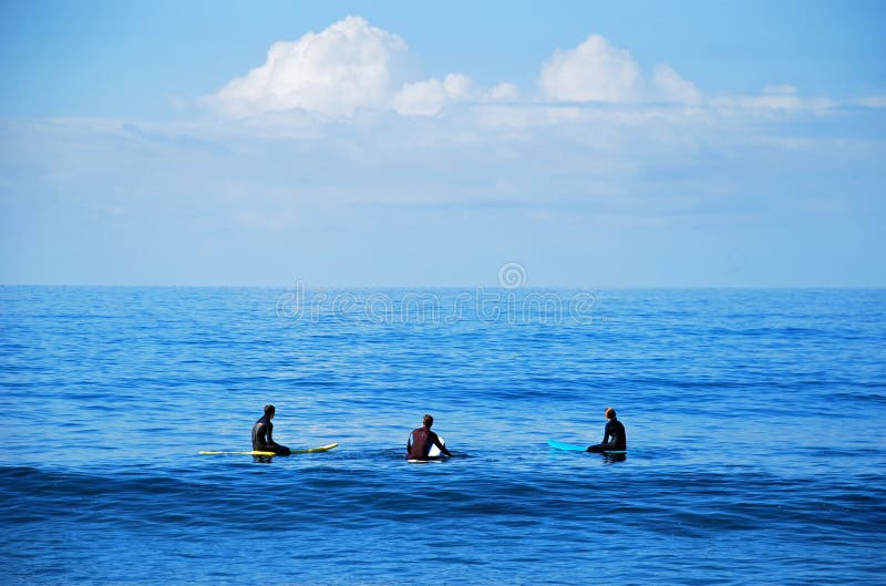 Imbarchi sui surfisti che aspettano un'onda in Laguna Beach, la California