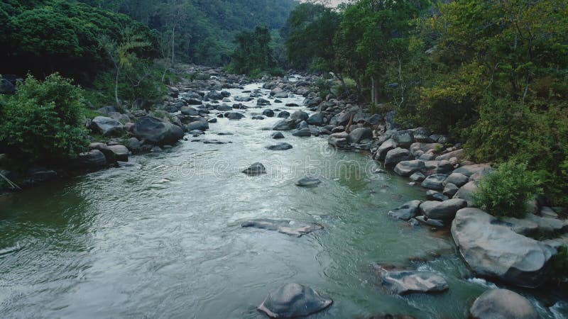 Imbracciare la natura su un ponte di legno Rustic stock footage