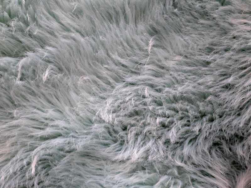 Imitatiebont van blauwachtige kleur met sommige en fluffiness royalty-vrije stock foto's Imitatiebont van blauwachtige kleur met sommige en fluffiness royalty-vrije stock foto's