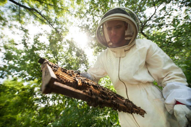 Imker mit einem Rahmen voll von den Bienen