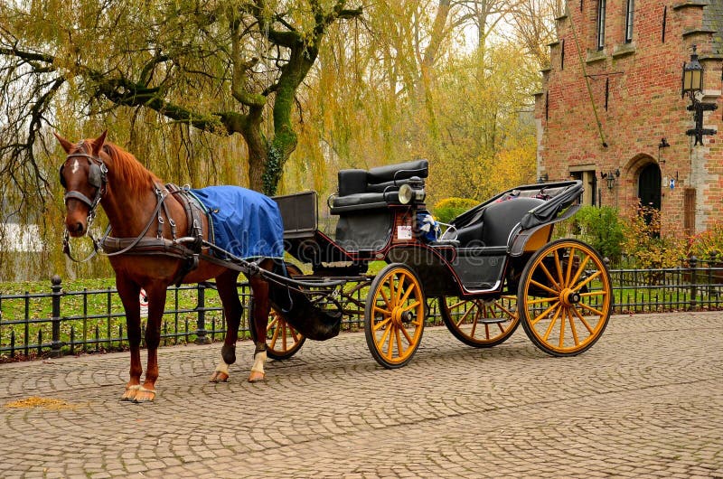 A beautiful brown horse hitched to a four wheel horse carriage in immaculate condition. In the background is a body of water and a red brick house. Brugge, Belgium. A beautiful brown horse hitched to a four wheel horse carriage in immaculate condition. In the background is a body of water and a red brick house. Brugge, Belgium.