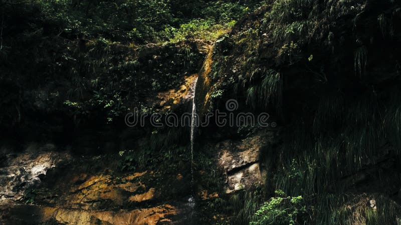 Immagine aerea cinematografica del fuco della cascata e di piccolo stagno in profondità nella giungla della foresta pluviale al p immagini stock Immagine aerea cinematografica del fuco della cascata e di piccolo stagno in profondità nella giungla della foresta pluviale al p immagini stock