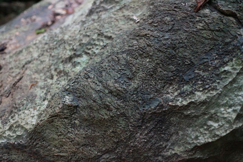 Immagine astratta della trama di pietra di una montagna immagine per sfondo naturale fotografia stock libera da diritti