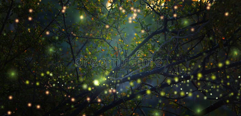 Immagine astratta e magica del volo della lucciola nel concetto di fiaba della foresta di notte