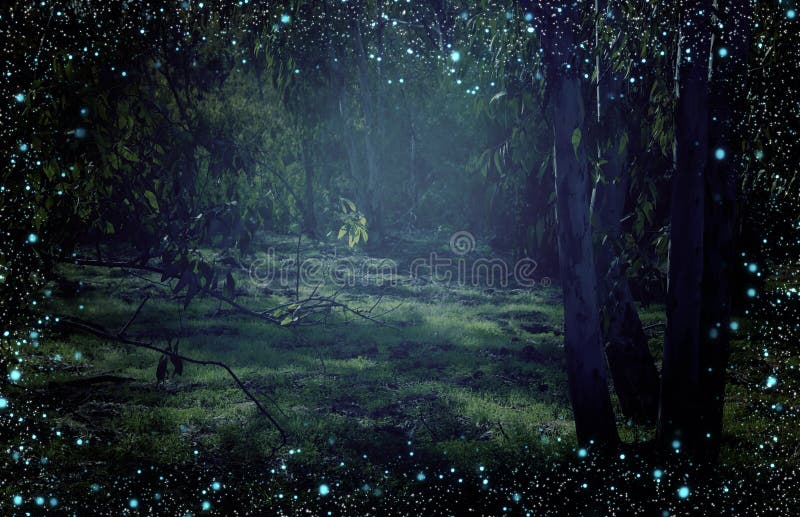Immagine astratta e magica del volo della lucciola nel concetto di fiaba della foresta di notte