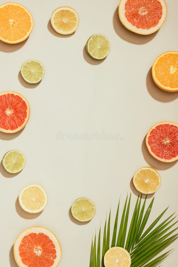Immagine completa della struttura di foglia di palma, fette di pompelmi, limette, limoni ed arancia immagine stock libera da diritti