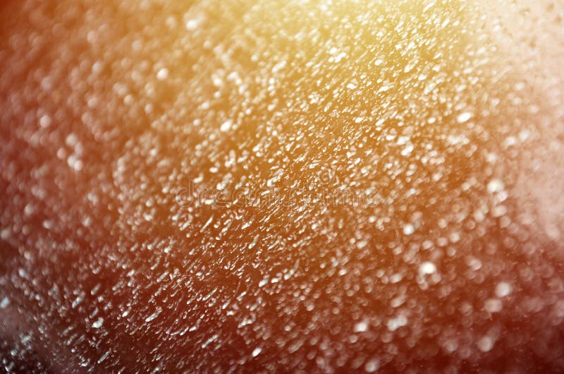 Immagine di sfondo delle gocce di pioggia su una finestra di vetro Macro foto con profondità di campo bassa Pictur tonificato fotografie stock libere da diritti Immagine di sfondo delle gocce di pioggia su una finestra di vetro Macro foto con profondità di campo bassa Pictur tonificato fotografie stock libere da diritti