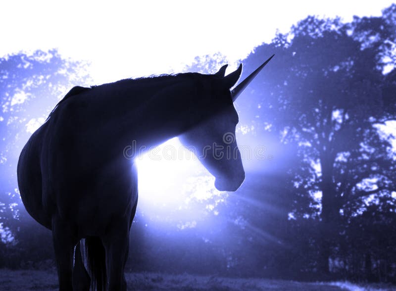 Immagine di un unicorno magico contro alba nebbiosa