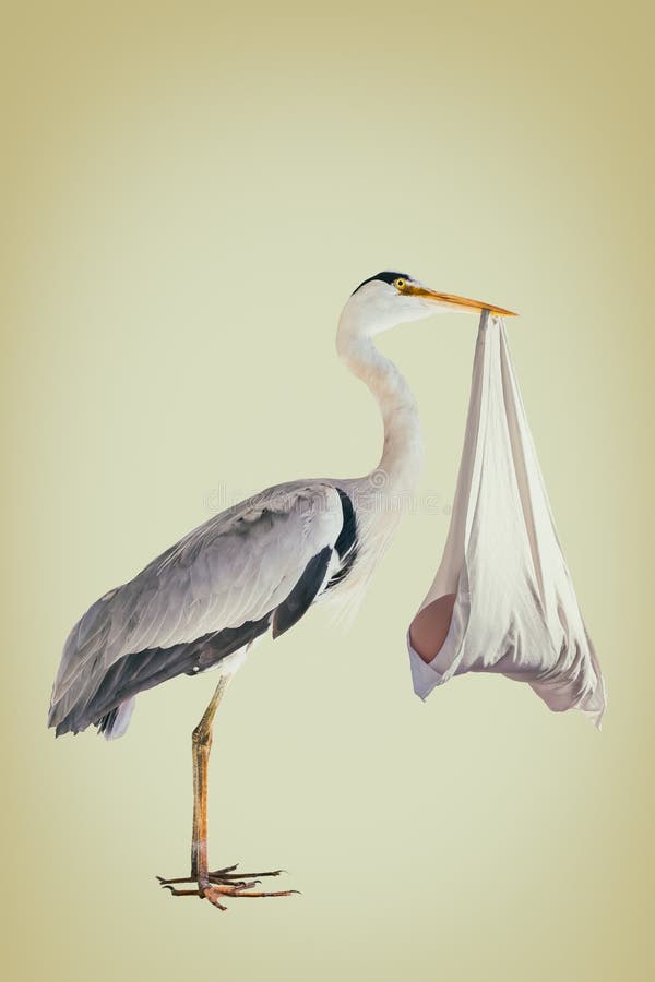Retro styled image of a stork holding a newborn baby in a white blanket. Retro styled image of a stork holding a newborn baby in a white blanket